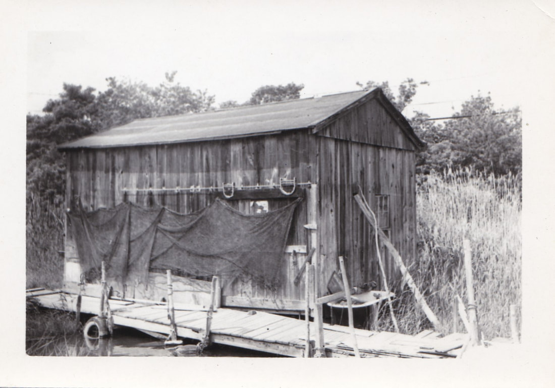 Second fishhouse with nets drying in 1950’s
